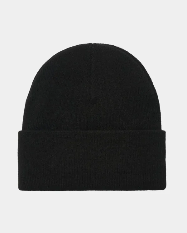 Carhartt WIP Chase Beanie | Sort Shop