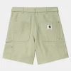 Carhartt WIP Sacai X Duck Shorts | Lysegron Shop